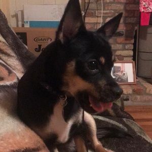 Meet your Posher, Mark